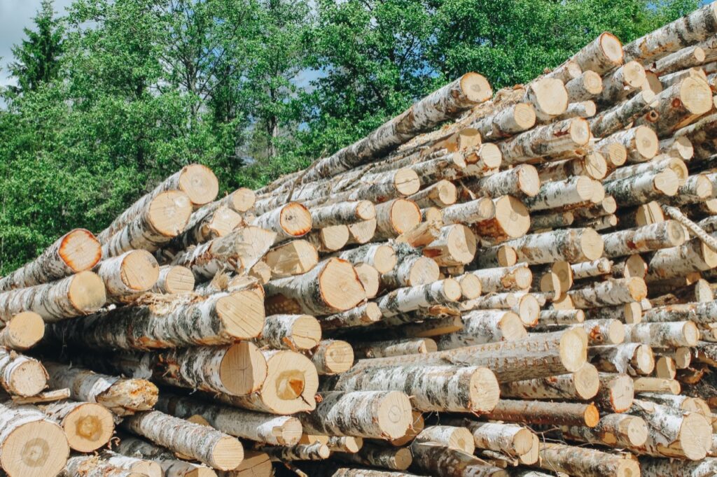 Смешанные колотые эконом дрова с доставкой по Талдому и Талдомскому району